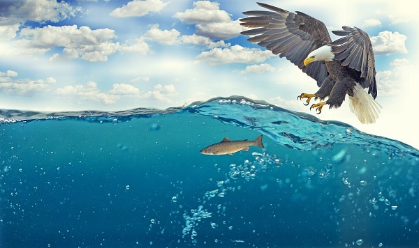 水质五参数在线监测仪工作原理.jpg 水质五参数在线监测仪工作原理.jpg