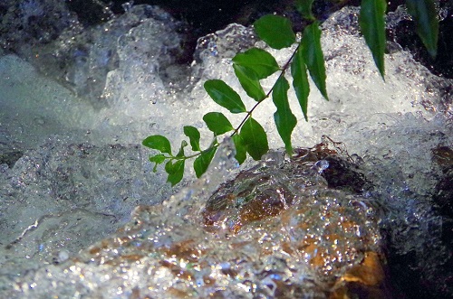 在线水质检测仪使用方法.jpg 在线水质检测仪使用方法.jpg